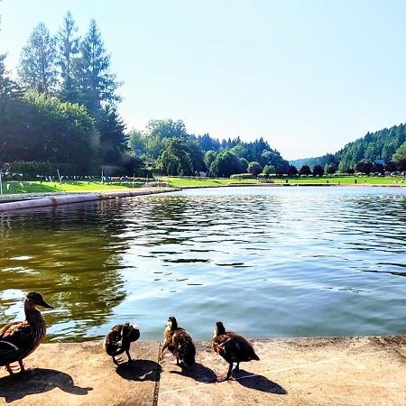 Domek Caloroczny Nad Zalewem U Podnoza Gor Stolowych Radkow Exteriér fotografie